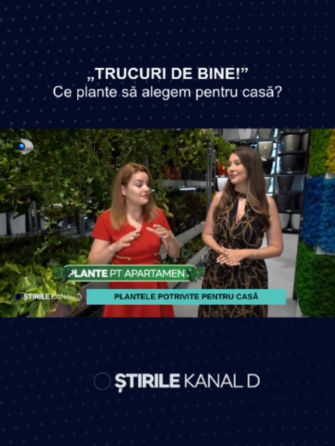 @Stirile Kanal D