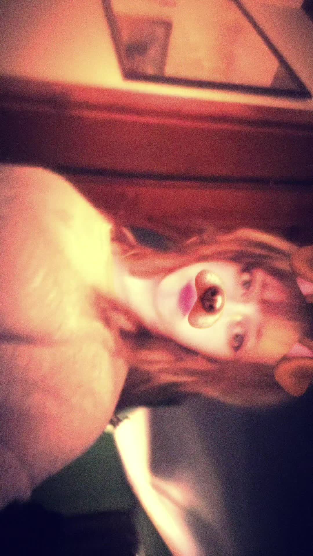 @Kriszti