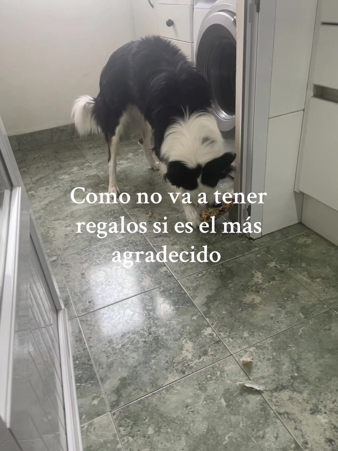 @luci