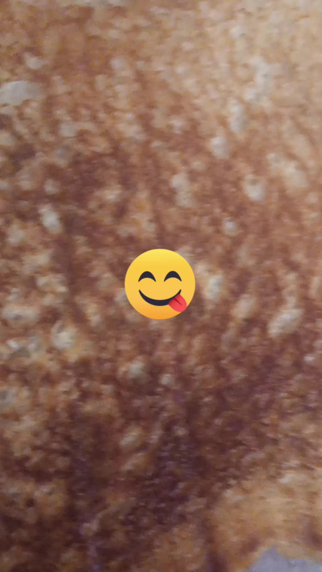 @ricettedirossy