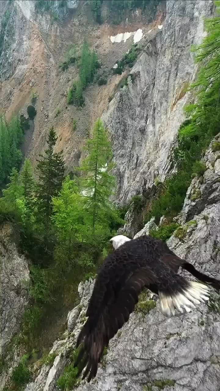 @@ÀmeMotivée