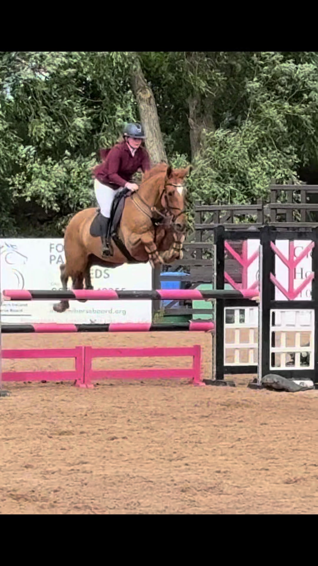 @🤍🐎Eloise🐎🤍