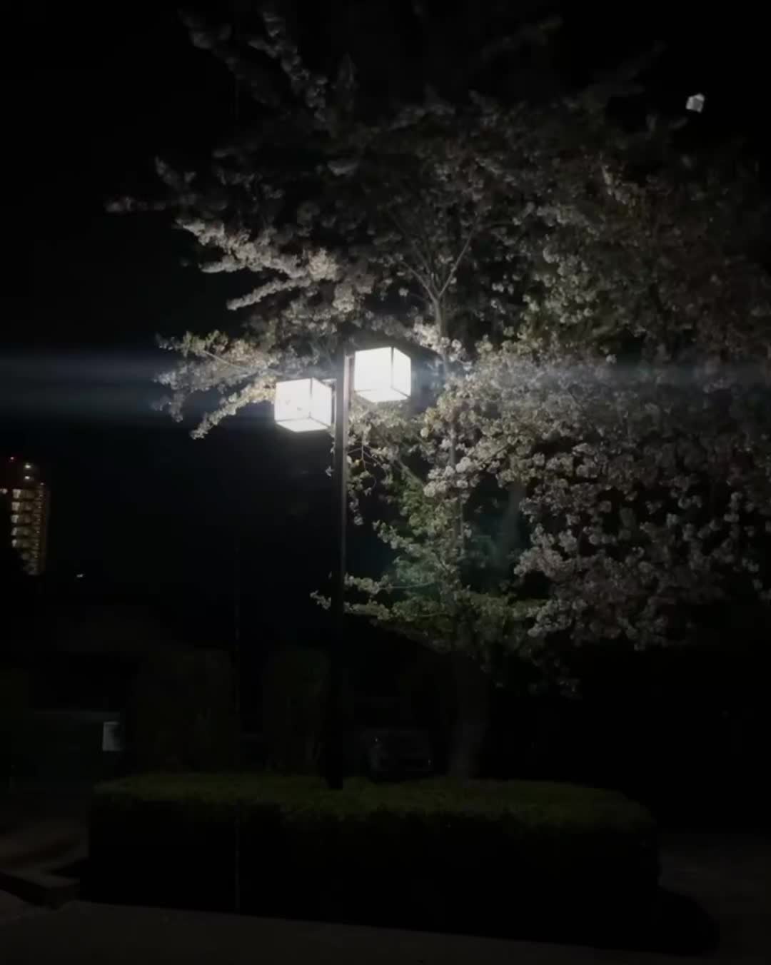@𝗡𝗶𝗺𝗿𝗮 𝗔𝗲𝘀𝘁𝗵𝗲𝘁𝗶𝗰