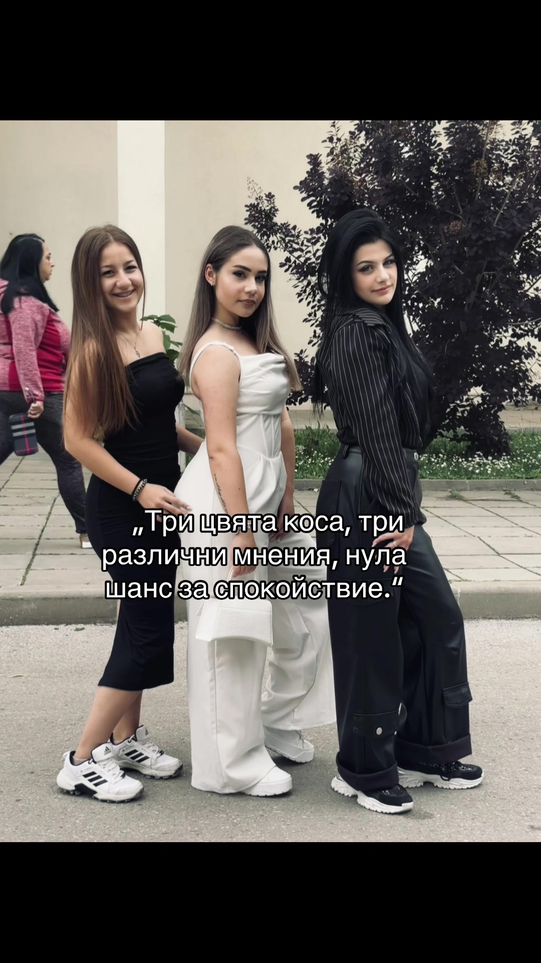 @D̸a̸n̸a̸q̸ P̸a̸n̸o̸v̸a̸