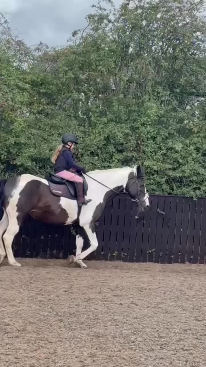 @LottiesHorseAdventures🦄🐴