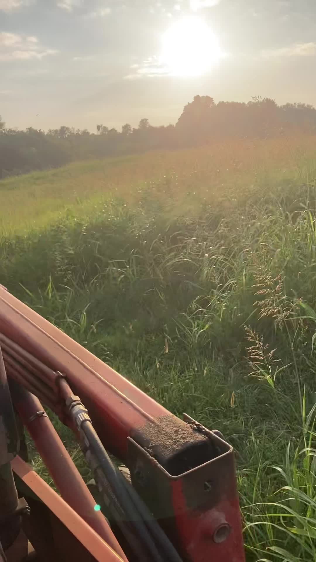 @Massey_Hub