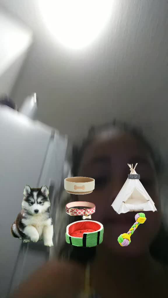 @user6583473369306