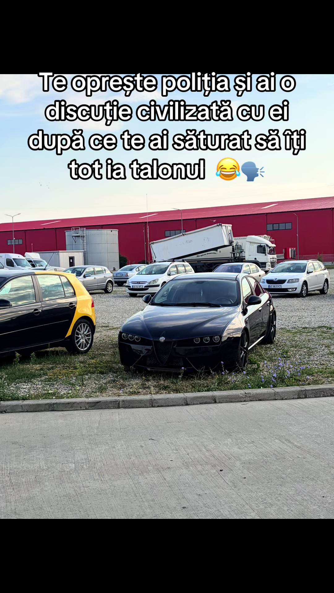@Alex🦈