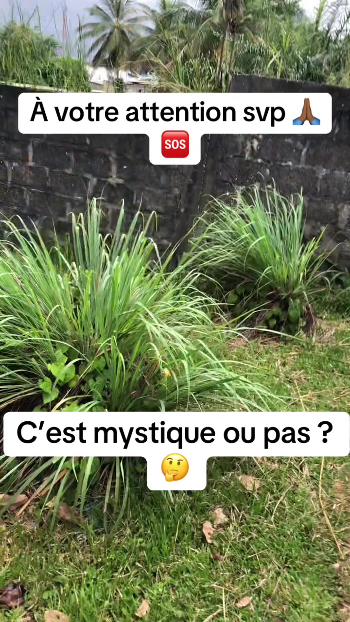 @LE PRINCE DU G2  🇬🇦