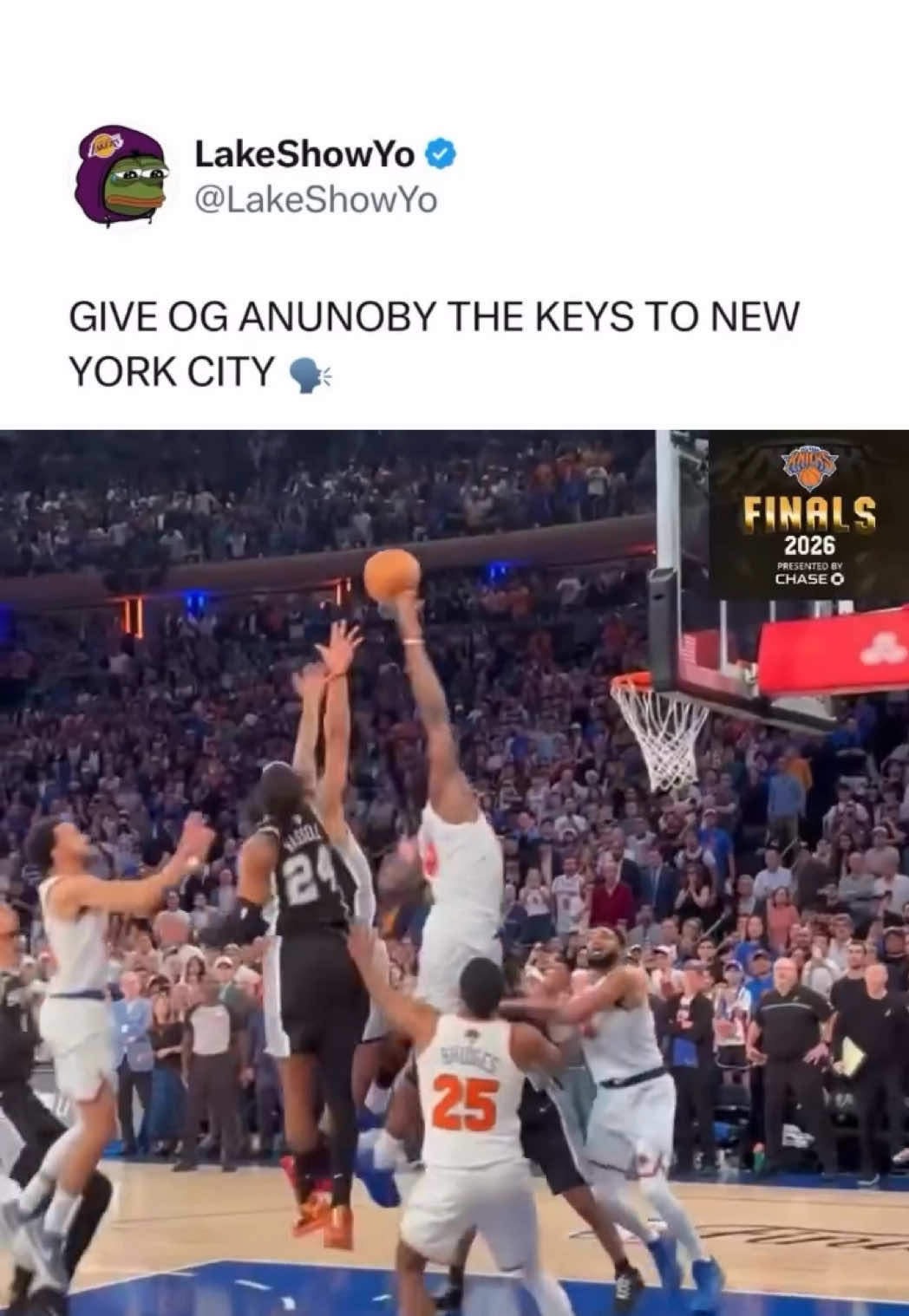 @Hoops Nation