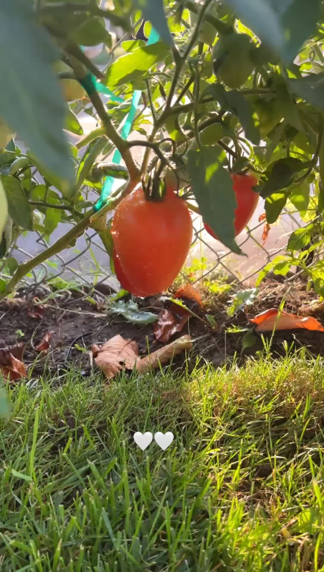 @𝓨𝓮𝓼𝓮𝓷𝓲𝓪🍓