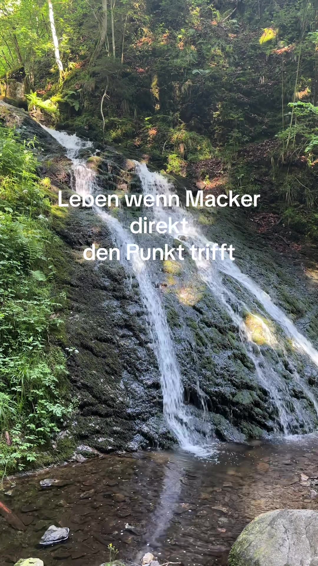 @leo786534