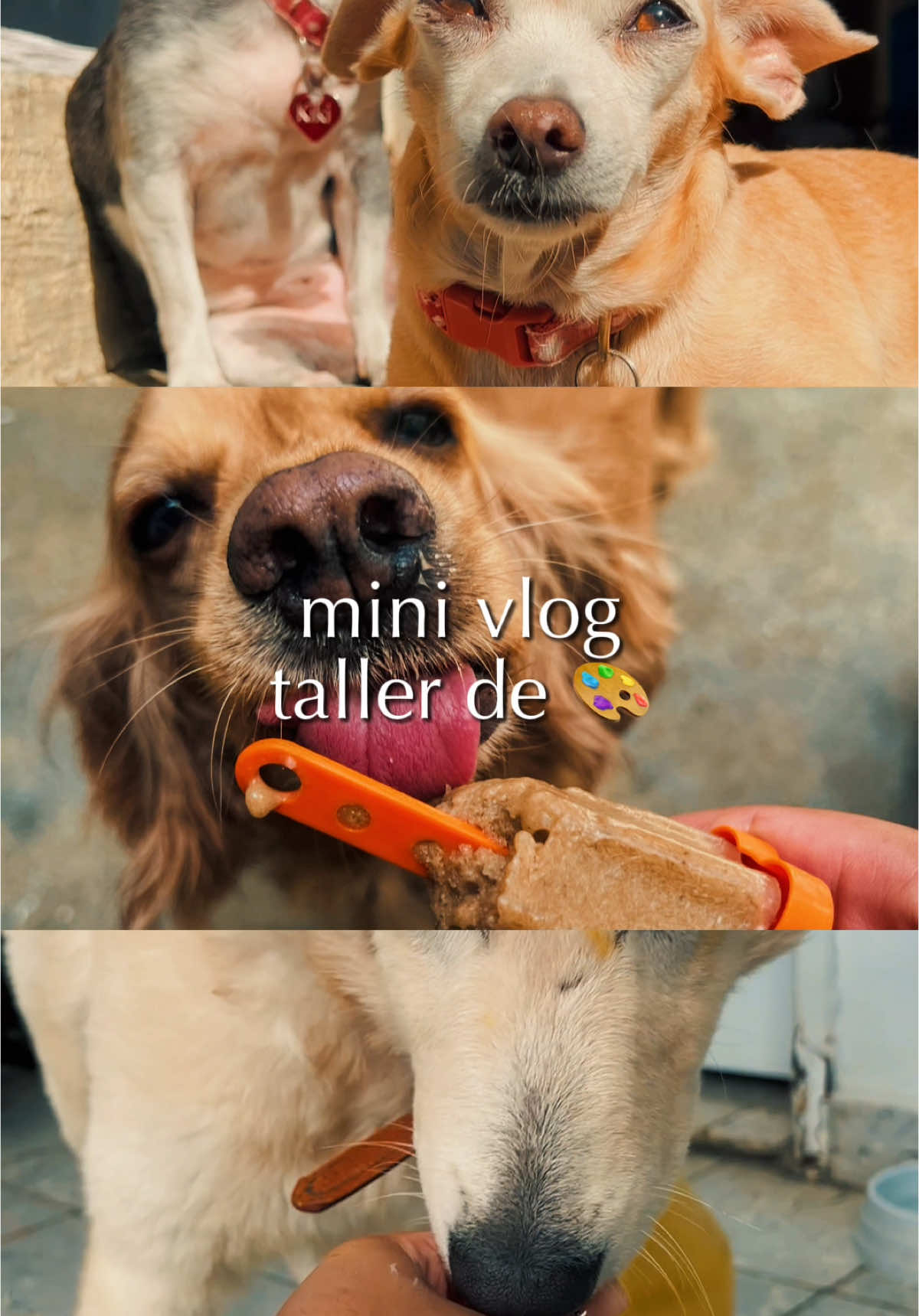 @Spaws