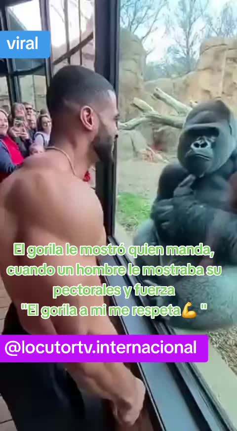 @tv visión latina 🇨🇱🇧🇴
