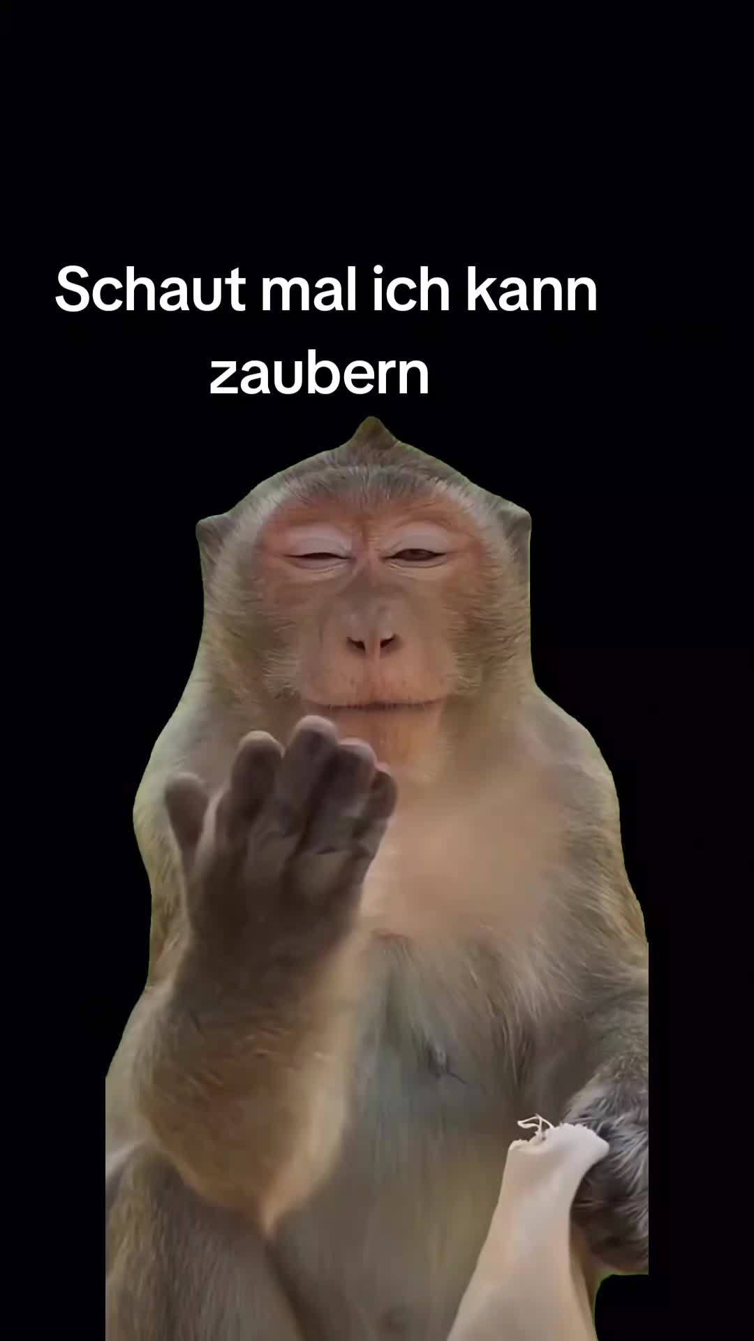 @Alexa Licht aus