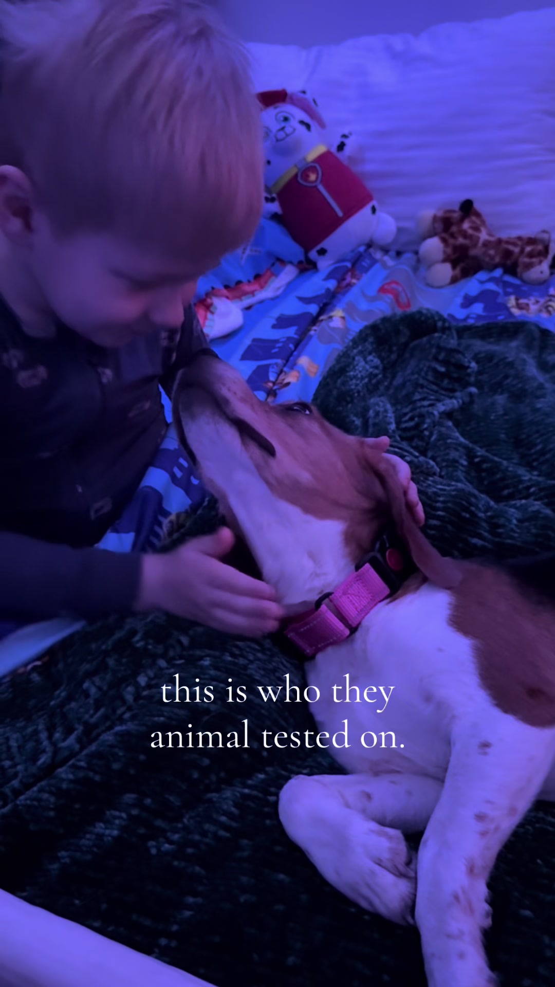 @ramensrescue