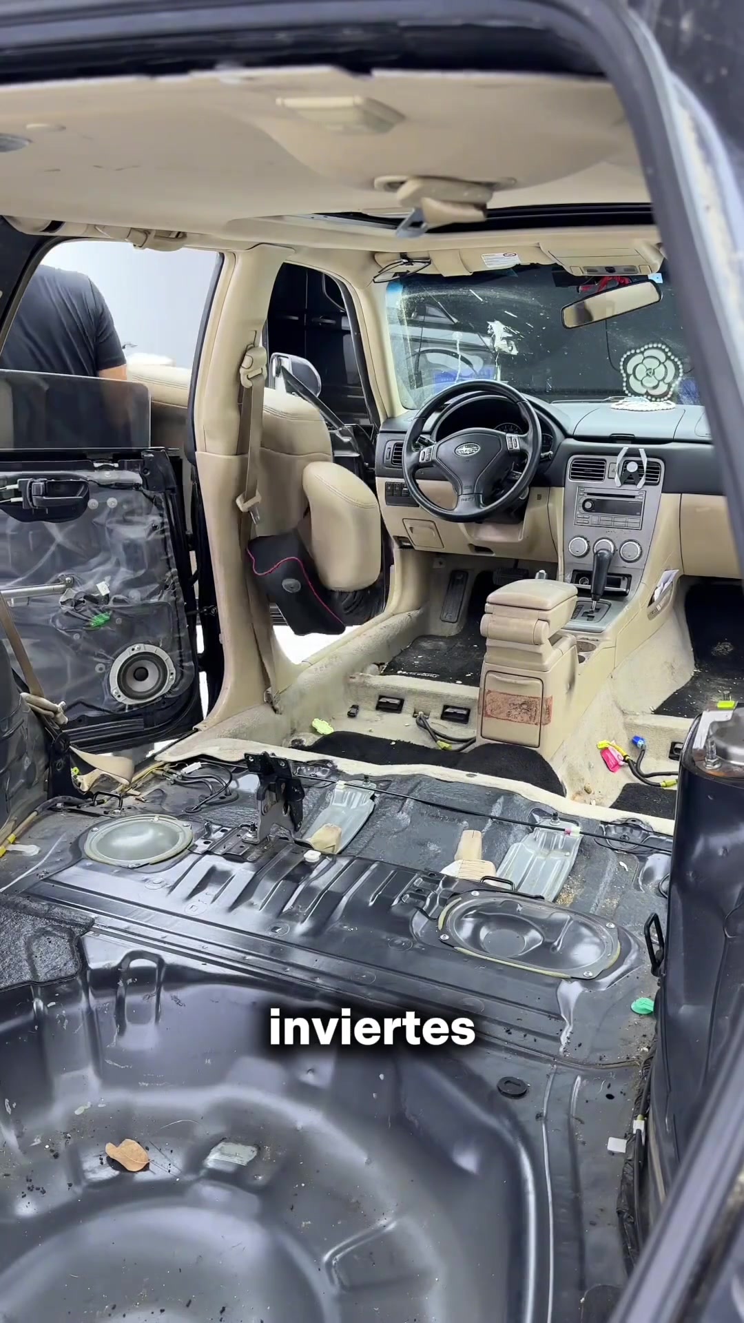 @Videos Tendencia Hoy