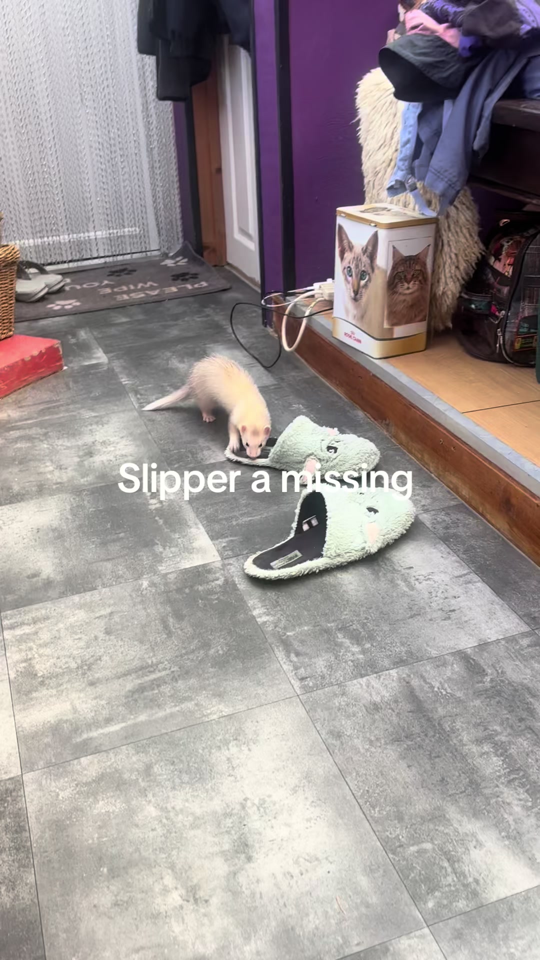 @vanessapenniston