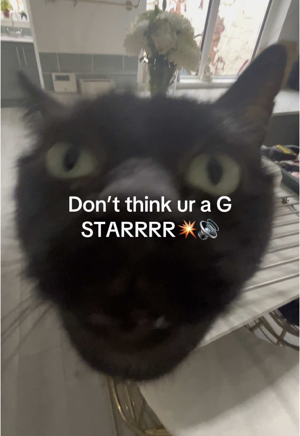 @s j