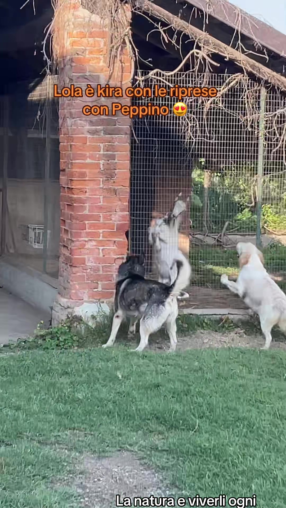 @KIRA❤️LEYLA💙