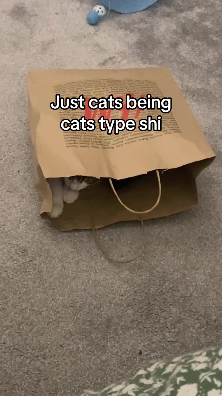 @terrycrust