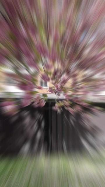 @๐๐Pillan๐๐