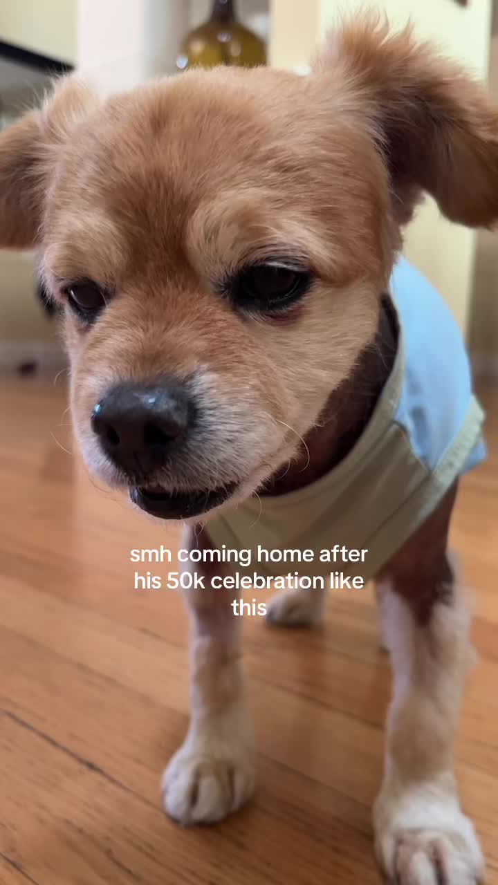 @kingpep