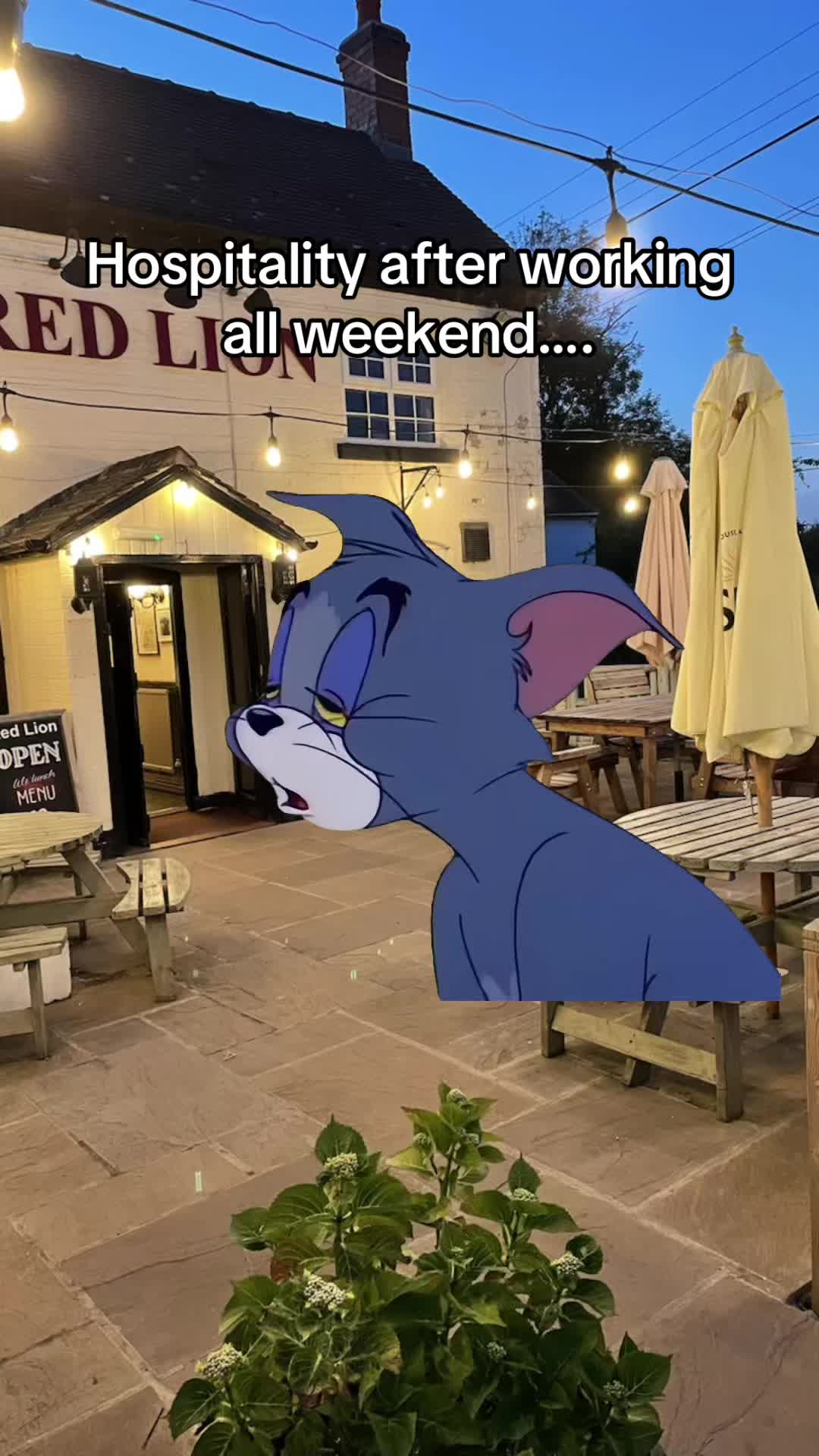 @ThePlace4Pies