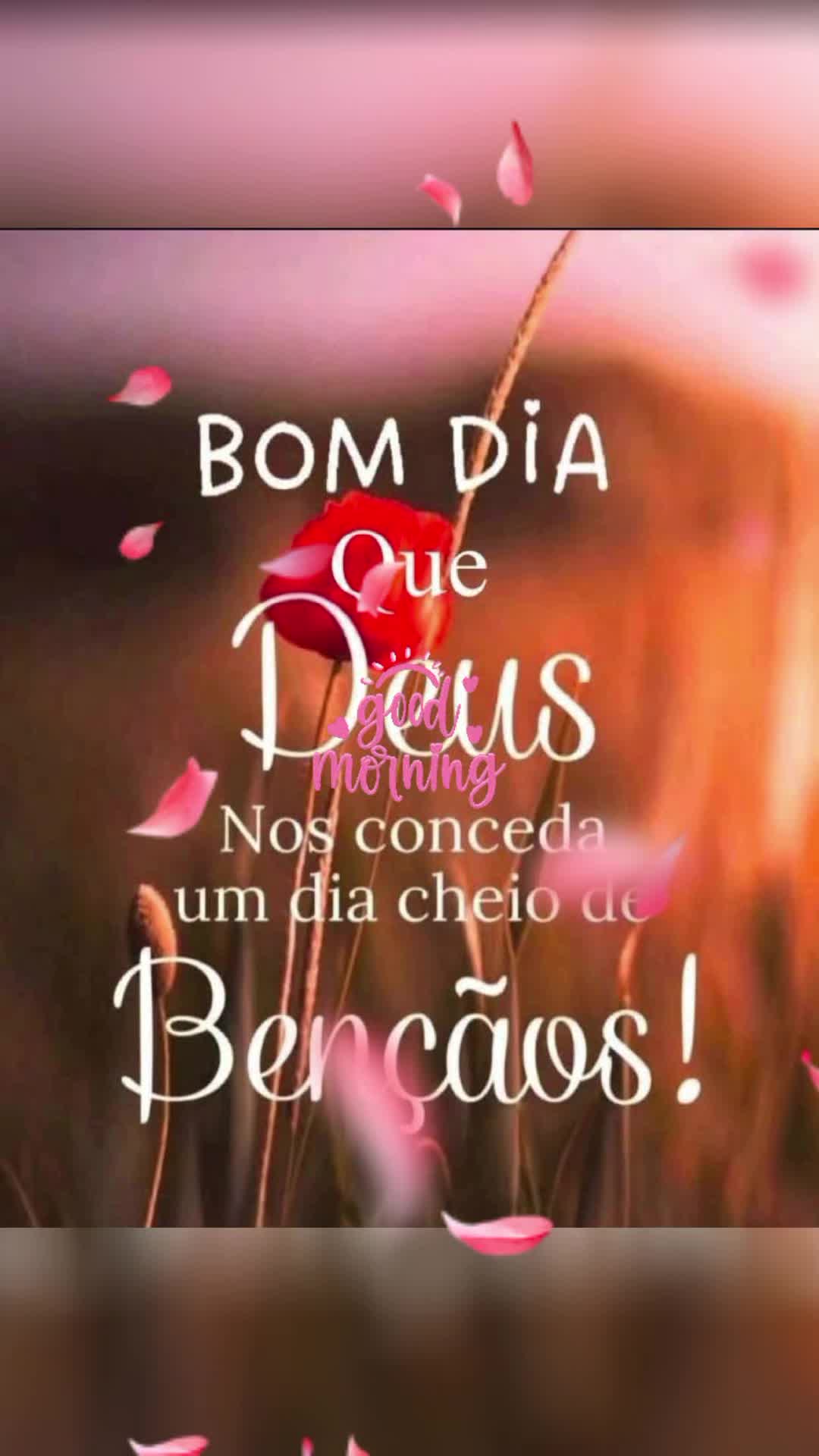 @Valdirene Soares 37