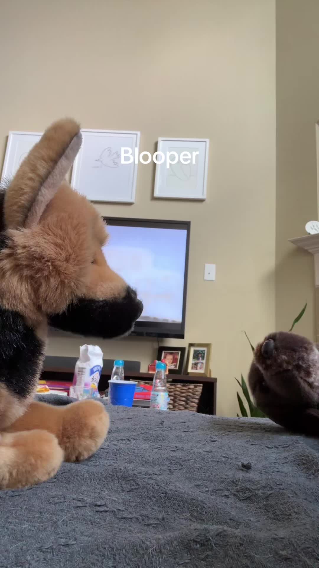 @~★🐾ᗪOᘜᑭᗩᗯՏ🐾★~