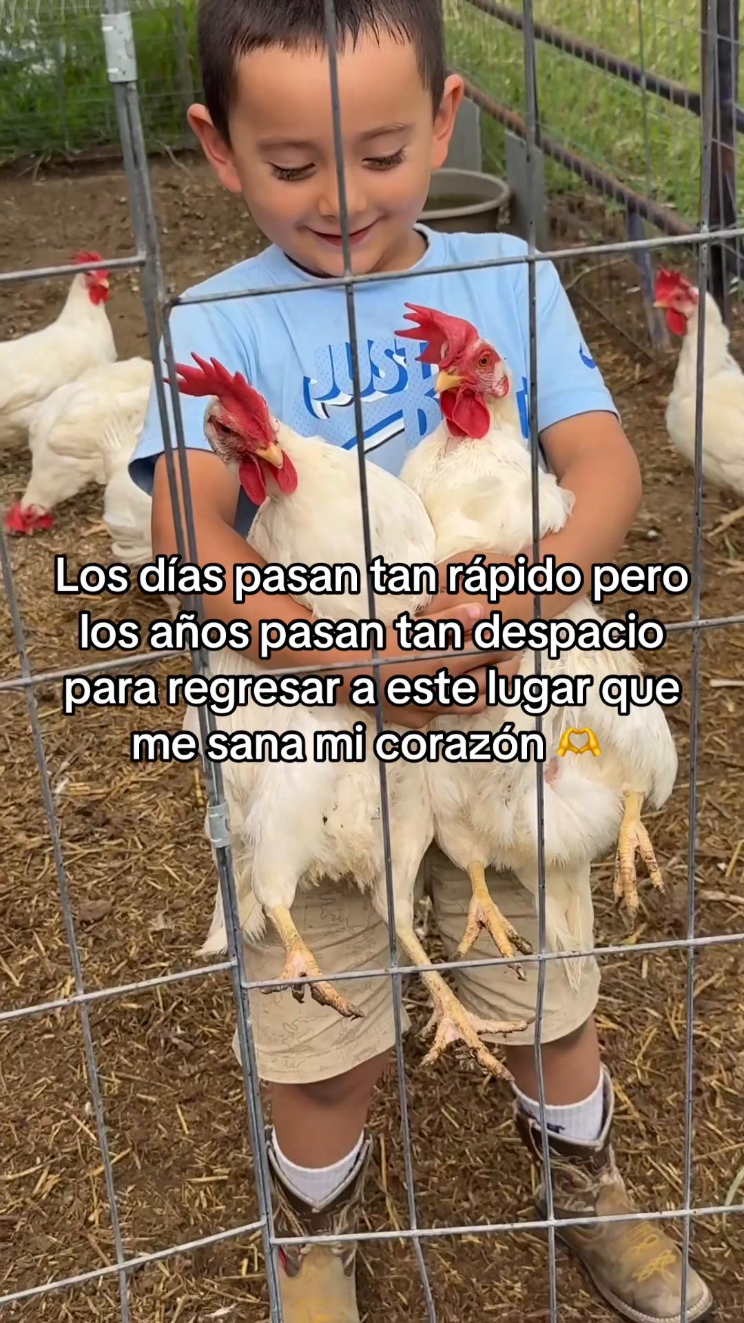 @enolamar08