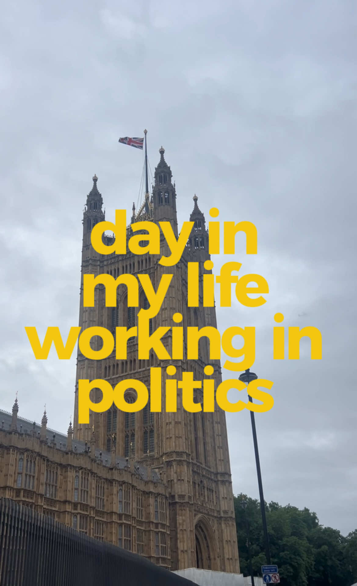 @dani | education & politics