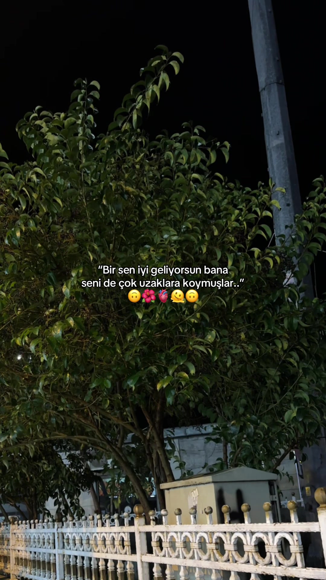 @TTKNN_STORY📍🌜