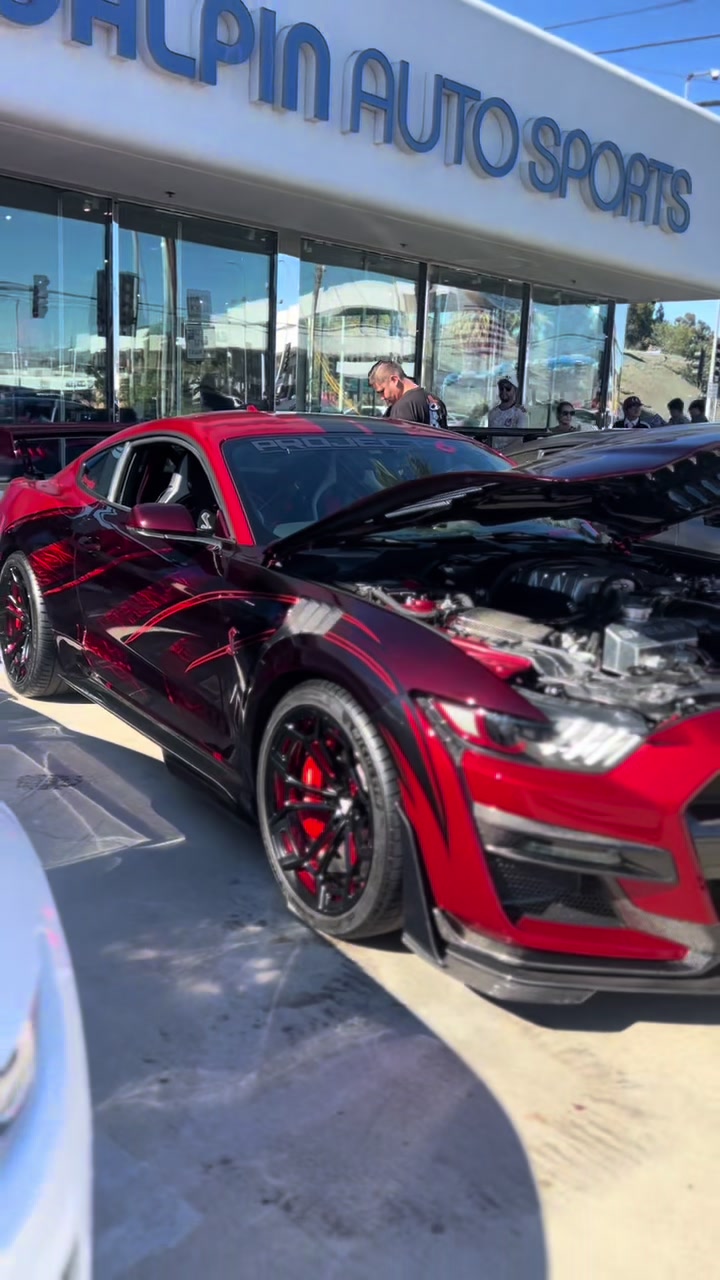 @tracysgt500