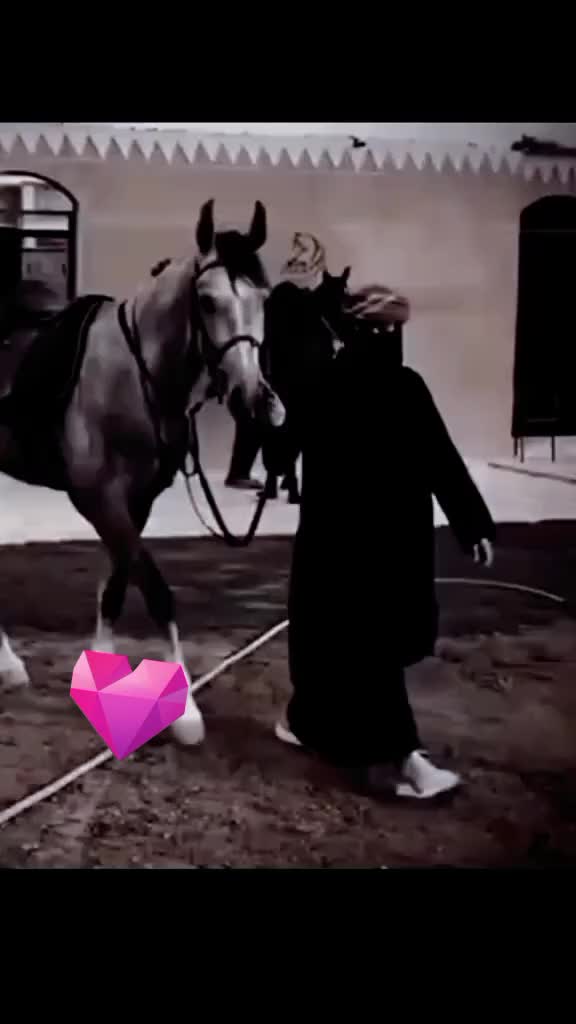 @🍓اميره 🦋