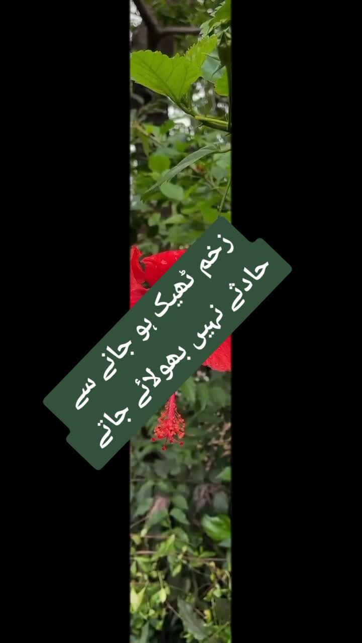 @ishq ibadat