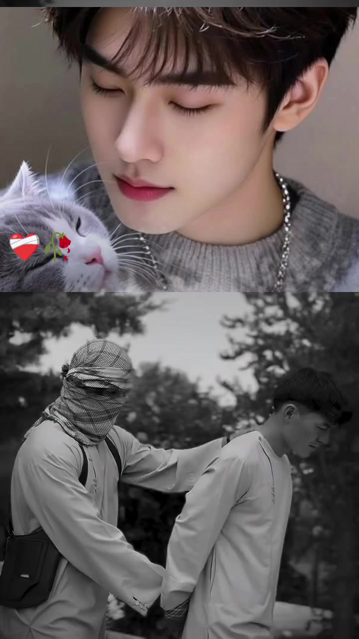 @➍➍⃢➍❣️آئتـًـًـًـًـًًَُّش⚘&hearts;️