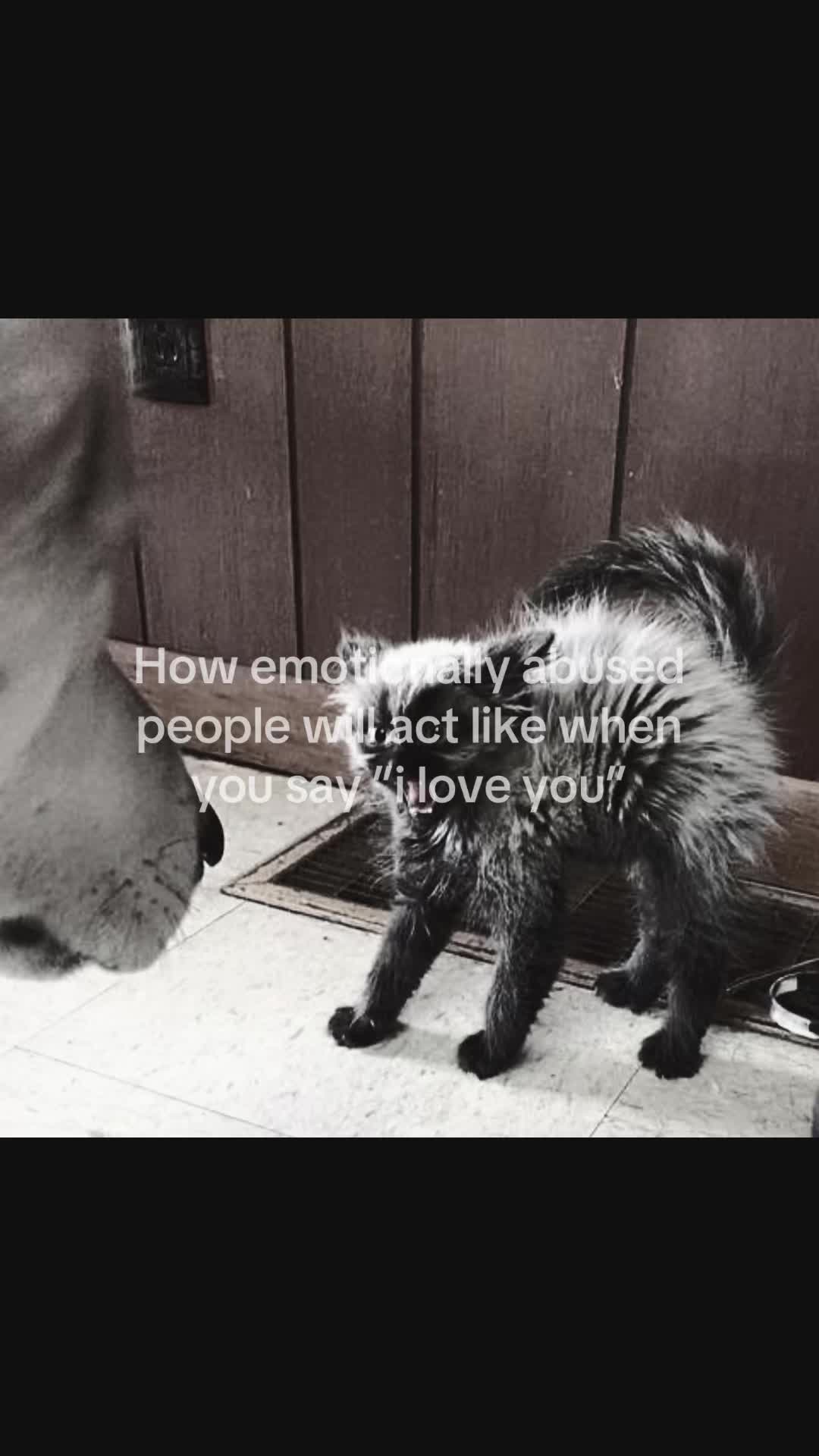 @meow