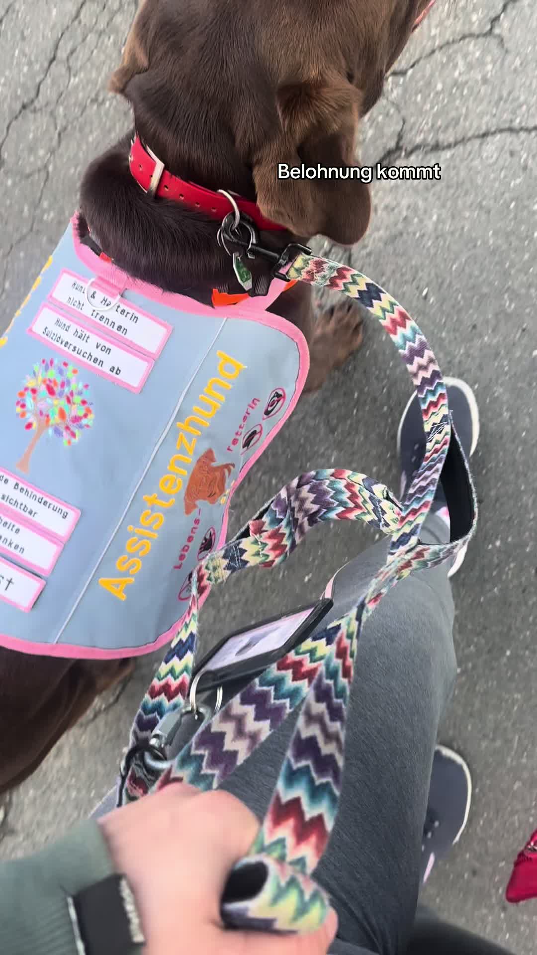 @teamlidialissy