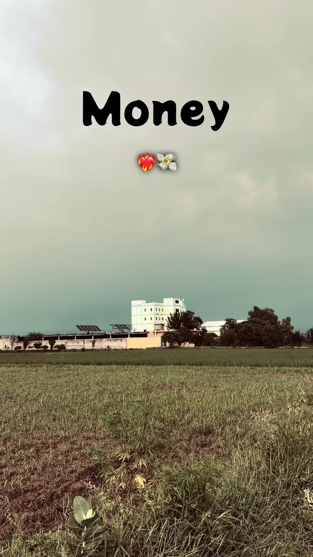 @PUNJAB💸