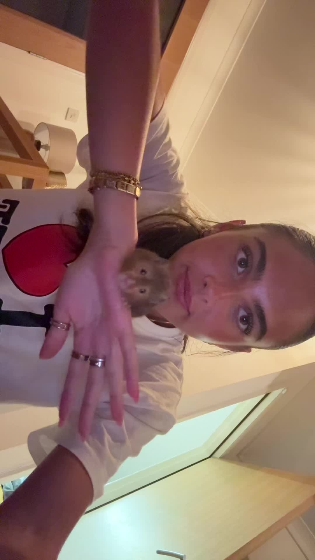 @hejebshsjw