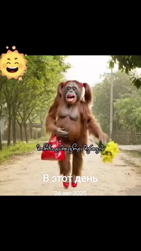 @უეკლო ვარდი