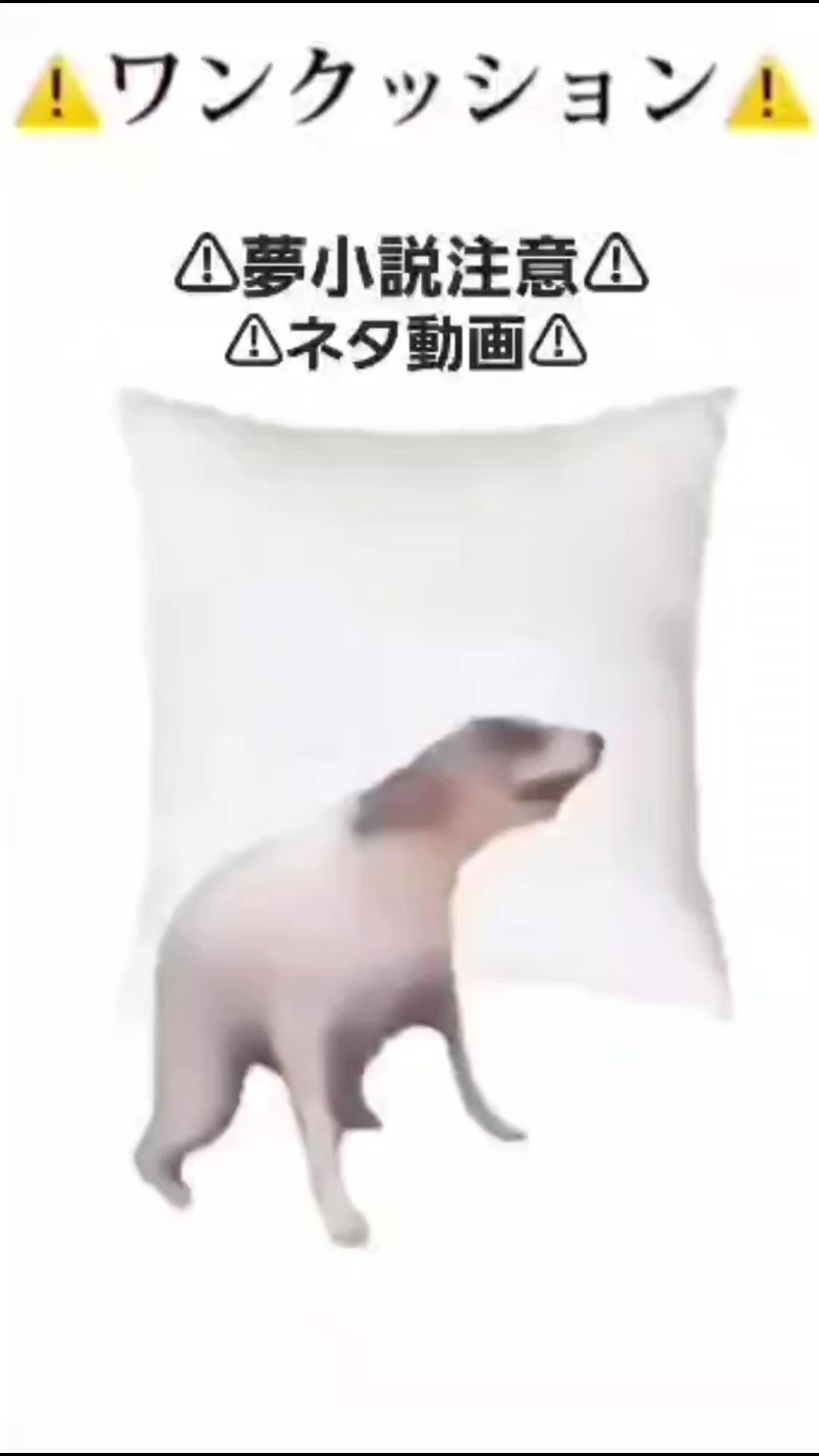@人生楽しみたい٩(ˊᗜˋ*)و♪―⚡🥀🦈🐙🐬