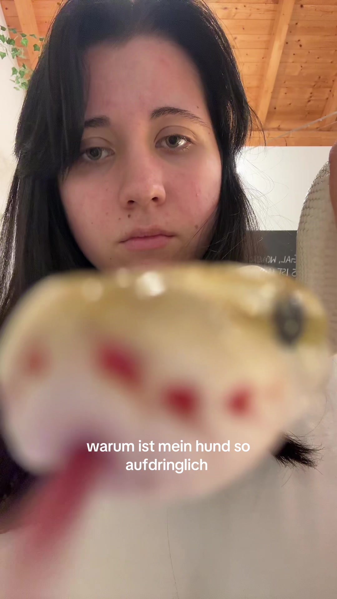 @𝖻𝗎𝗇𝗇𝗒 ⚢