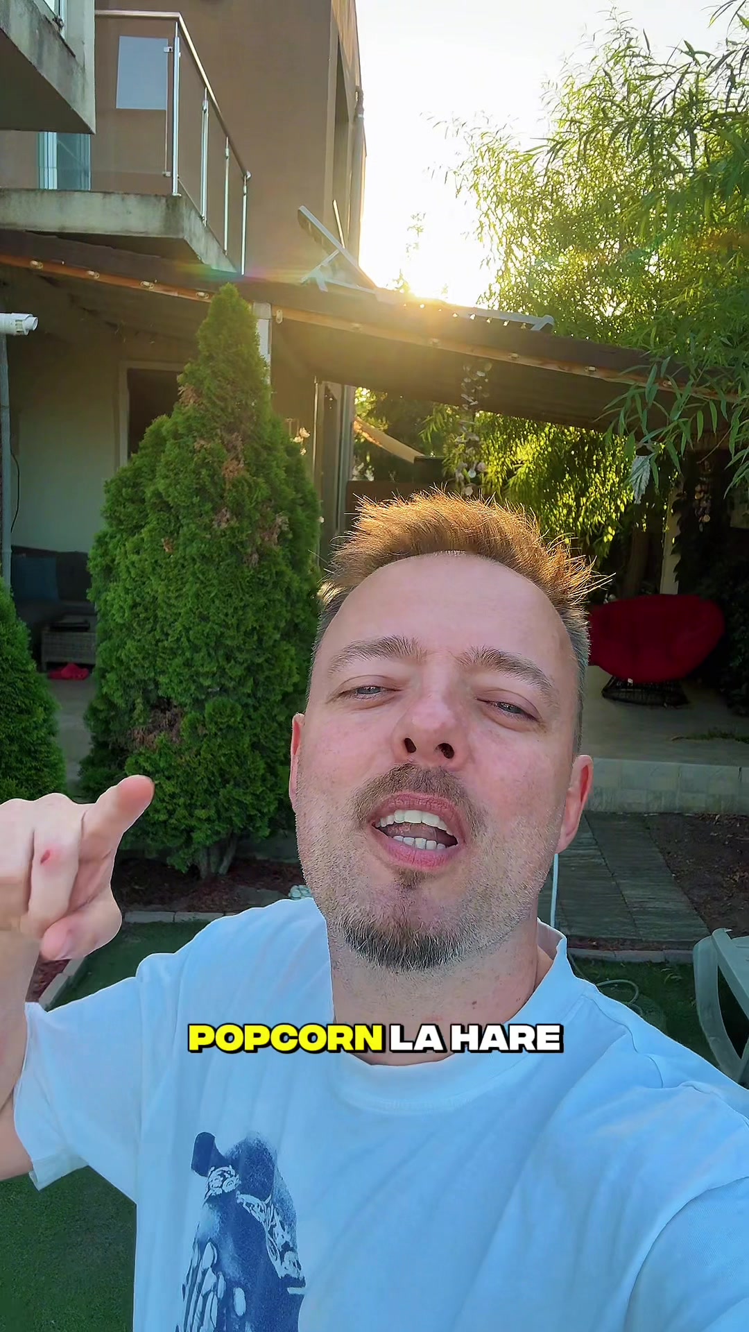 @boehm