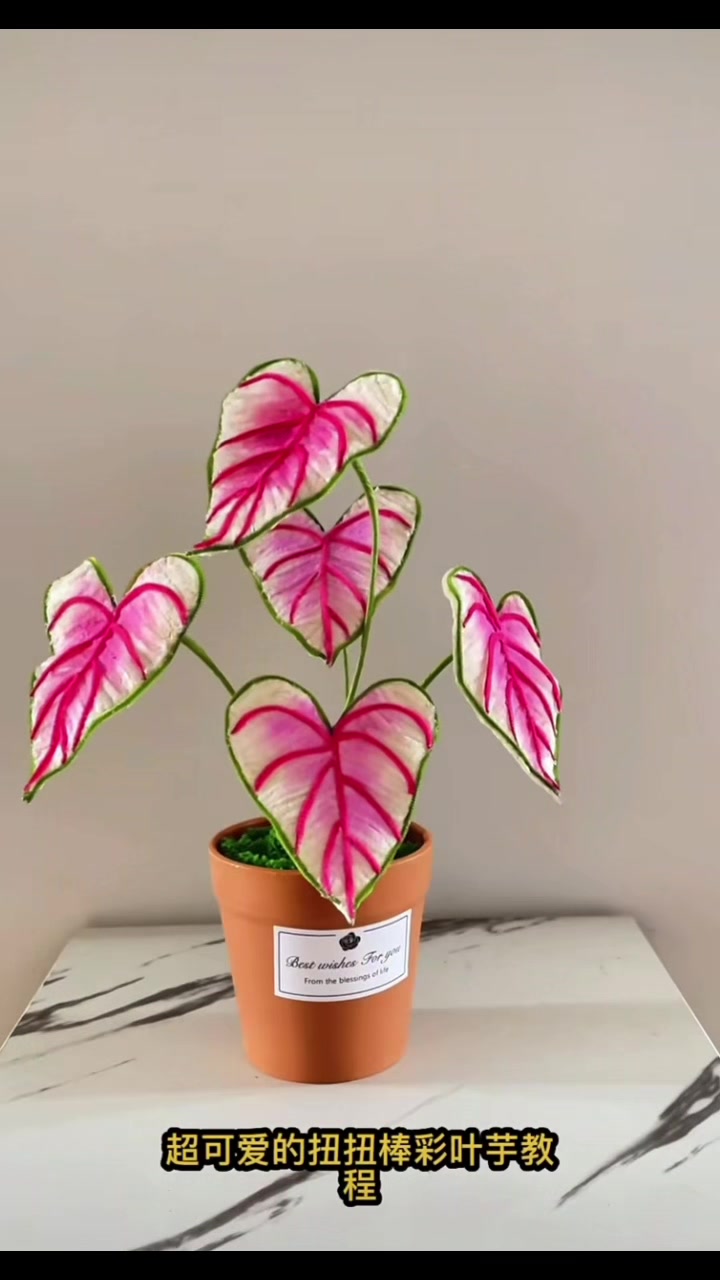 @Kẹo Mút Chuppachup🌷