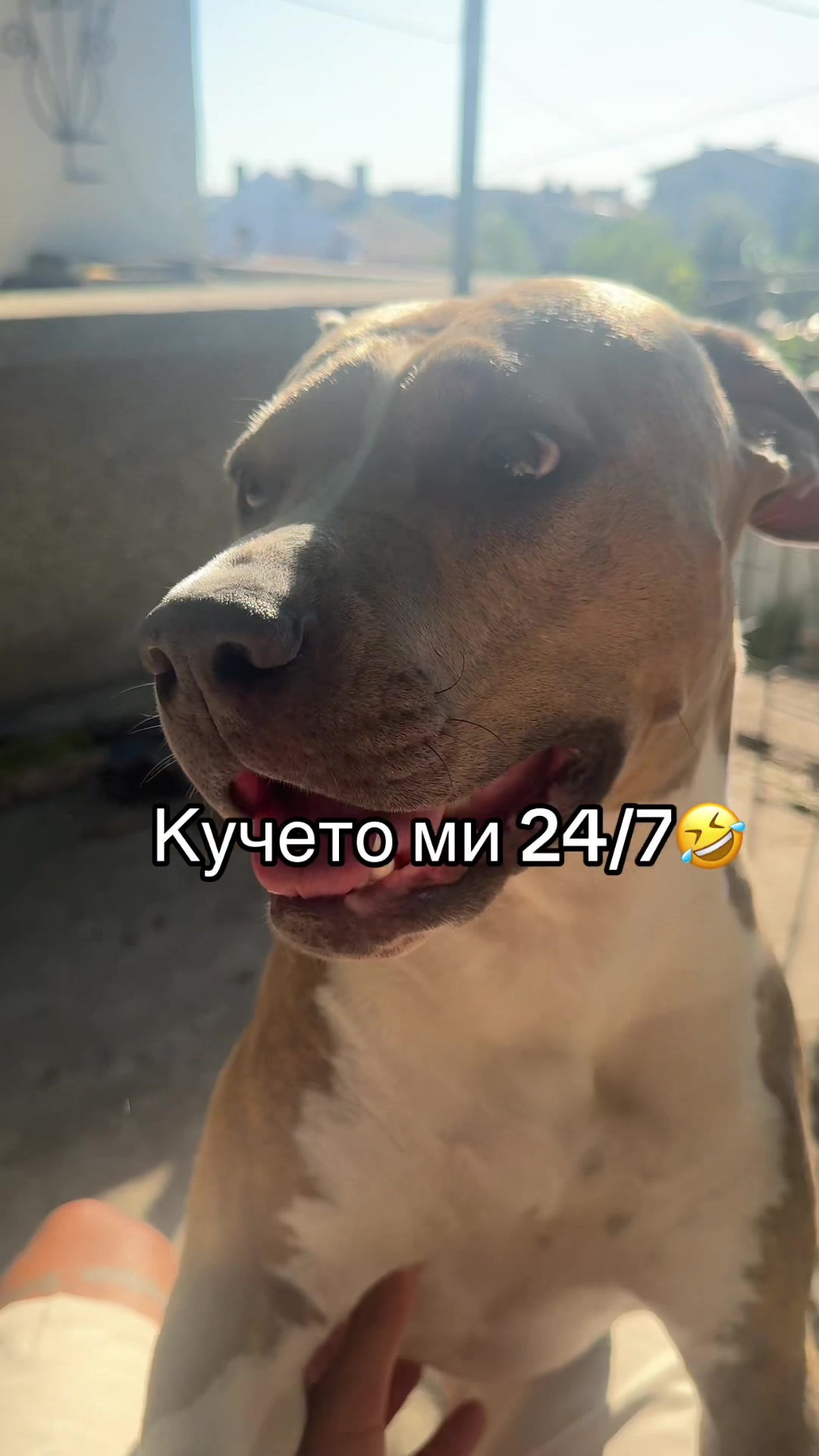 @_pazovv
