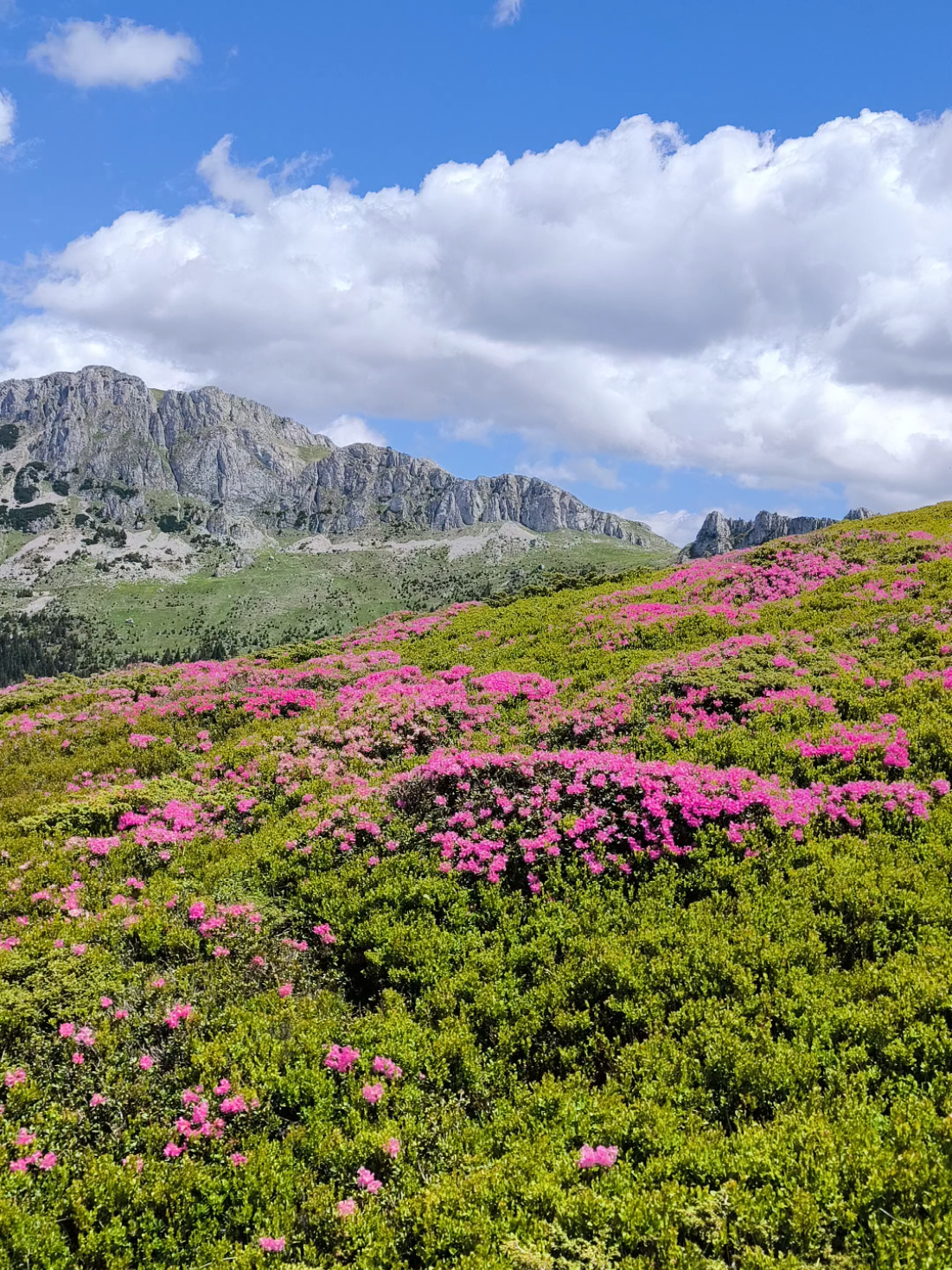 @Călător prin viață 🌅🏞️🌌