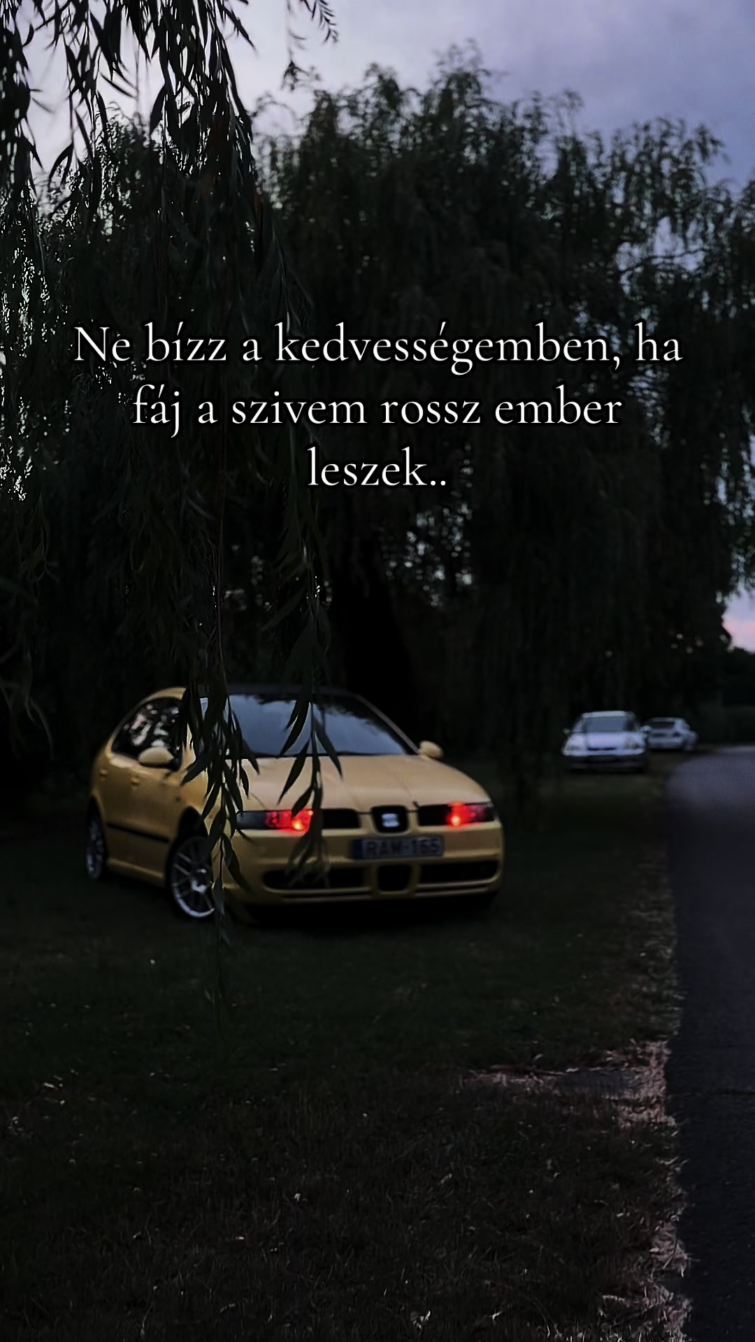 @Gábor Vaskó