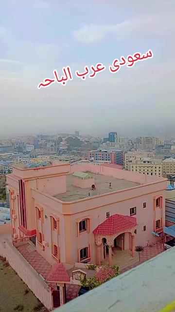 @شاہدین